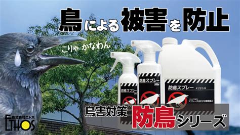 鳥忌|鳥害対策･害鳥駆除の方法まとめ。鳥よけ・防鳥製品。